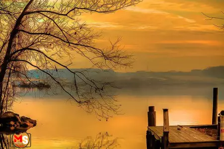 عکاسی حرفه ای 